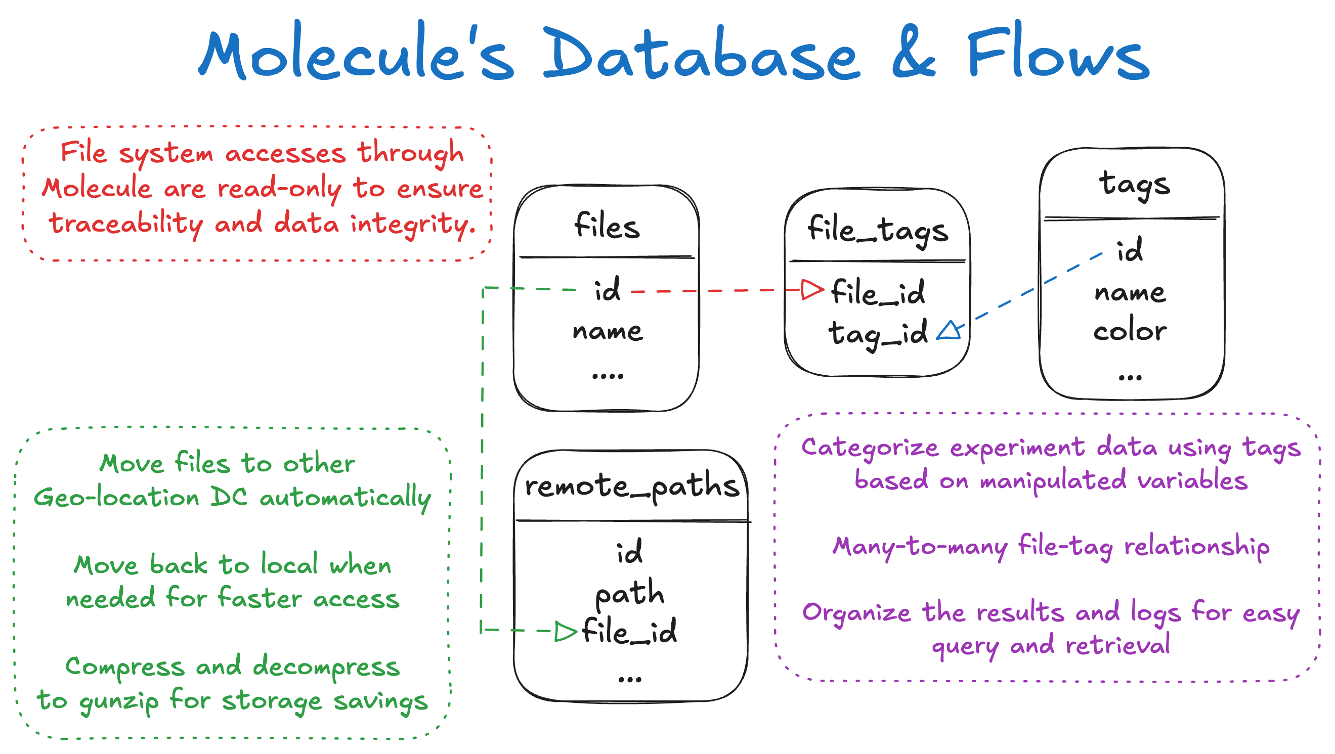 Molecule Artifact Overview